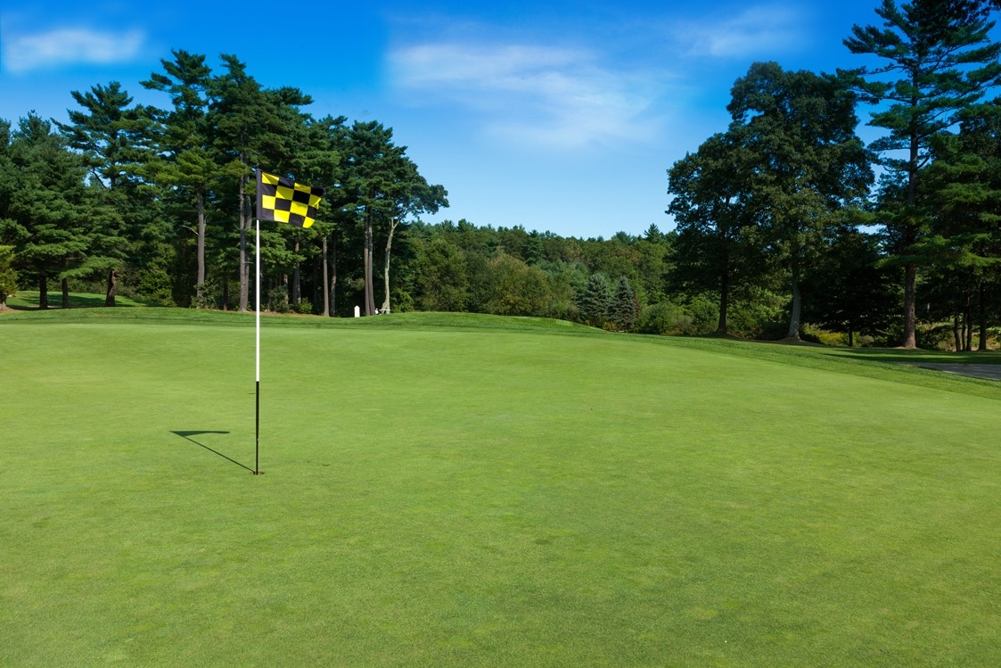 view of golf course with checkered flag near hole