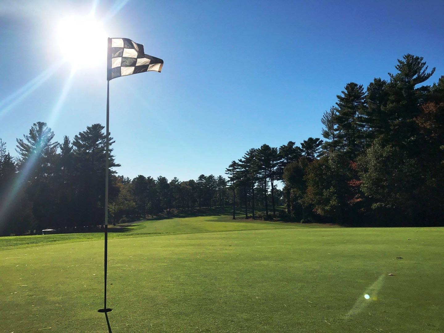 view of golf course hole with checkered flag